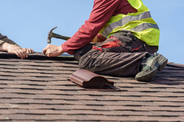 Quick and Trustworthy Emergency Roof Repair Services in Capitol View, SC