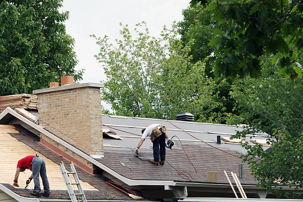 Best Roof Maintenance Services  in Capitol View, SC