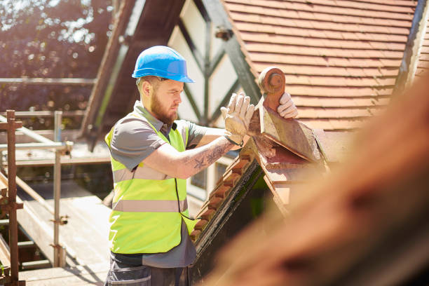 Best Residential Roofing Contractor  in Capitol View, SC